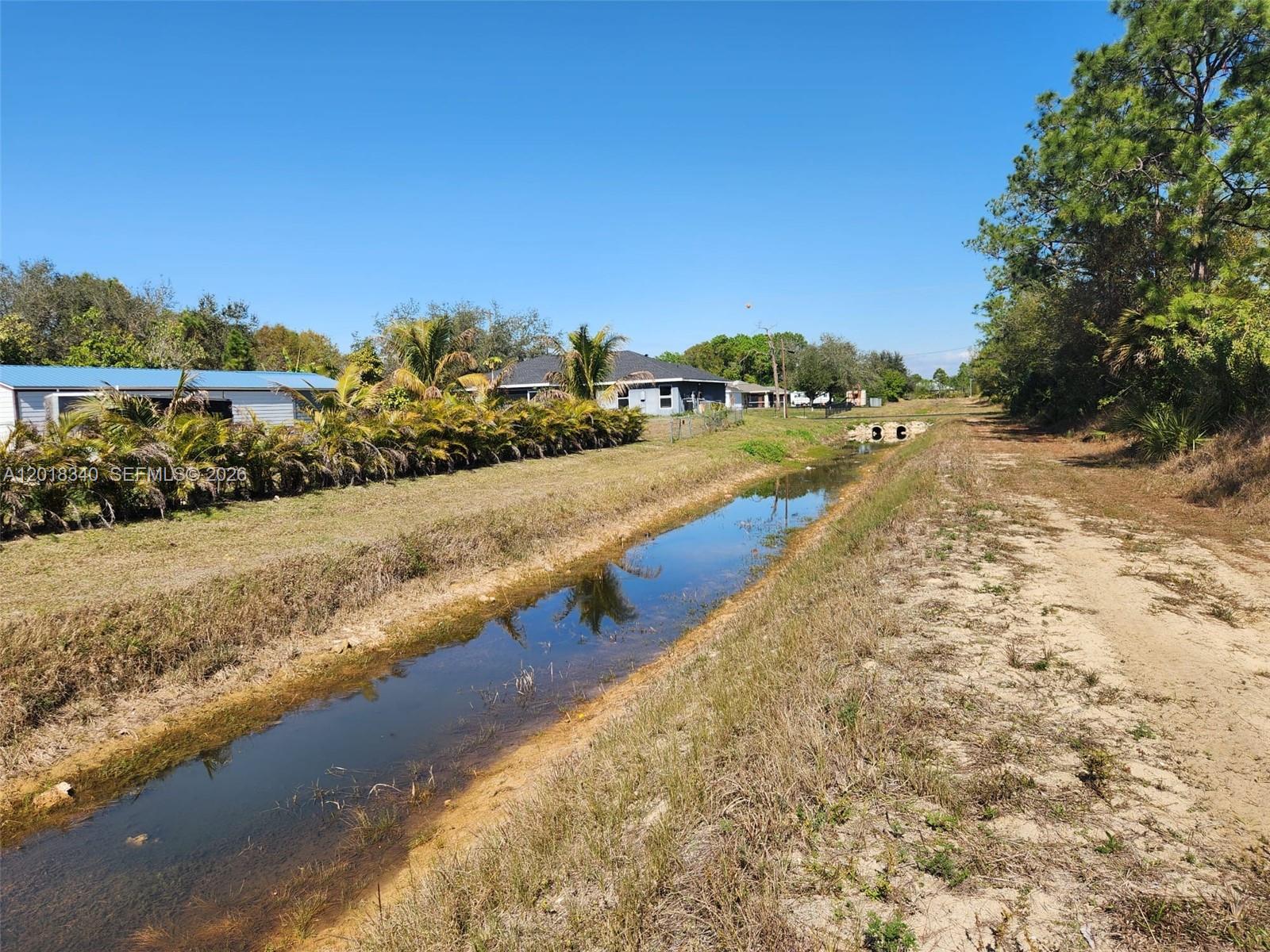 A narrow drainage canal runs between a grassy yard with palm trees and a dirt path — 706 JOHNS AVE, Lehigh Acres FL 33972, LEHIGH ACRES, FL