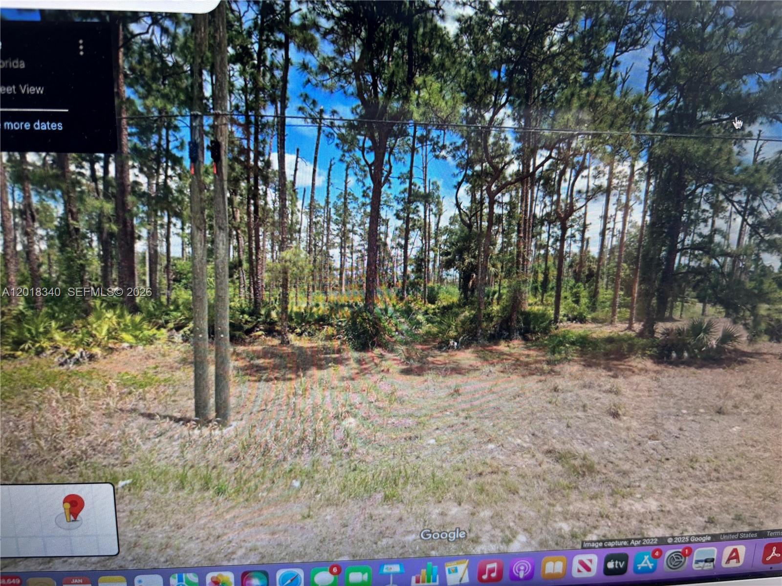 A view of a wooded lot with tall pine trees and low-lying brush — 706 JOHNS AVE, Lehigh Acres FL 33972, LEHIGH ACRES, FL
