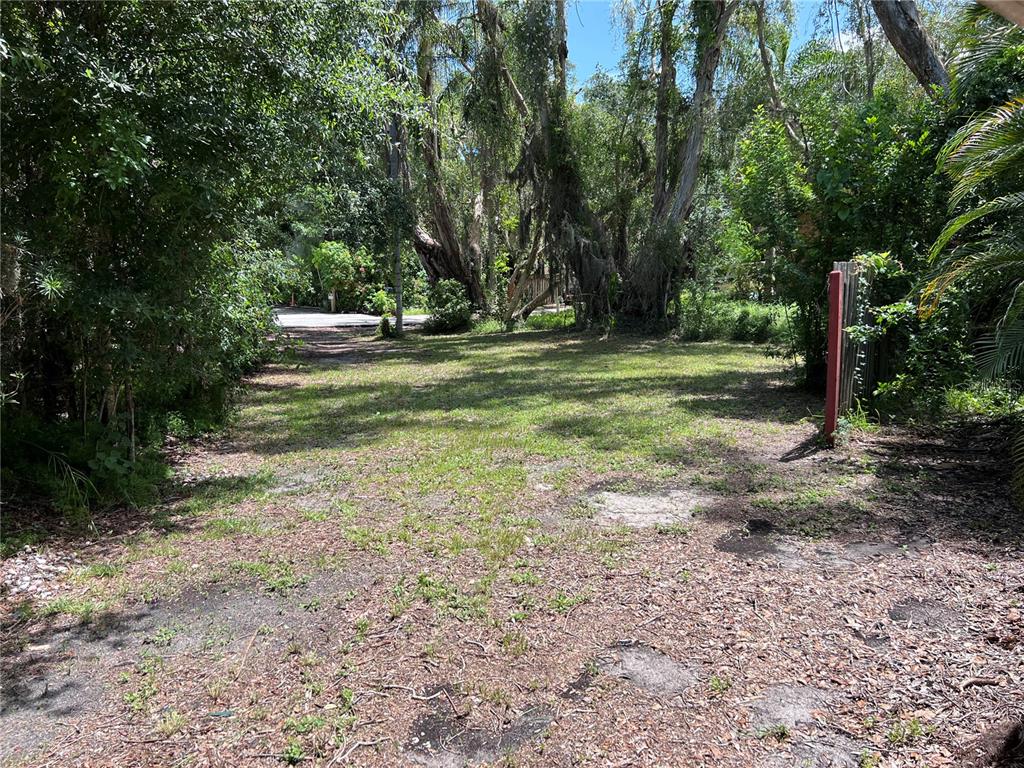 A grassy, wooded lot features a red post and dense trees under a clear sky — 0 TRINIDAD STREET, SARASOTA, FL