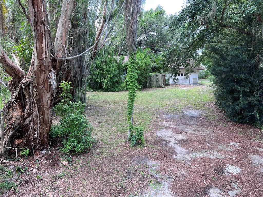 A grassy backyard features a large tree, a detached garage, and dense surrounding vegetation — 0 TRINIDAD STREET, SARASOTA, FL