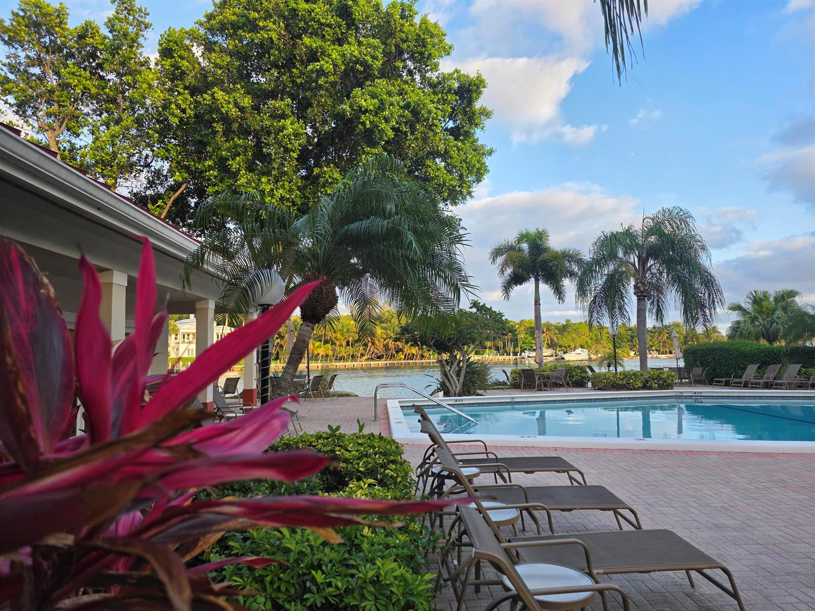 A swimming pool sits on a paved patio next to a building and palm trees — 3100 NE 48th Court # 113, Lighthouse Point FL 33064, LIGHTHOUSE POINT, FL