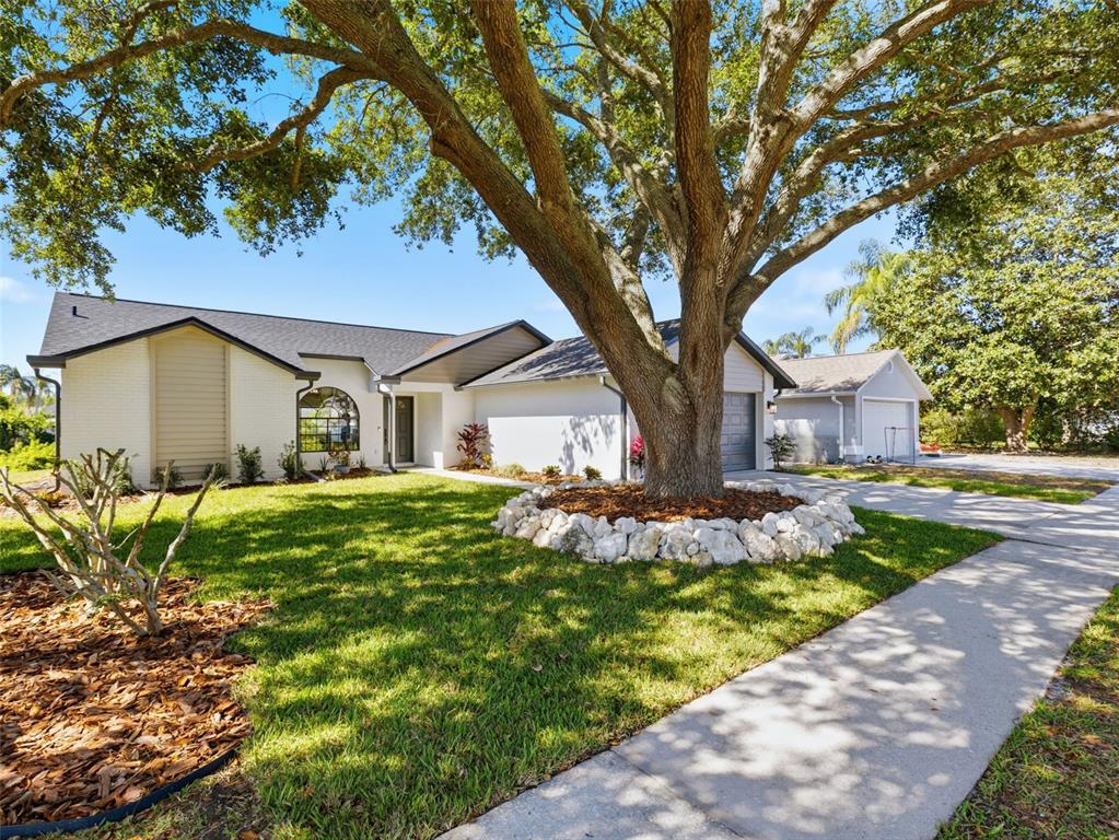 A white single-story house features a large oak tree in the front yard — 8452 YEARLING LANE, NEW PORT RICHEY, FL