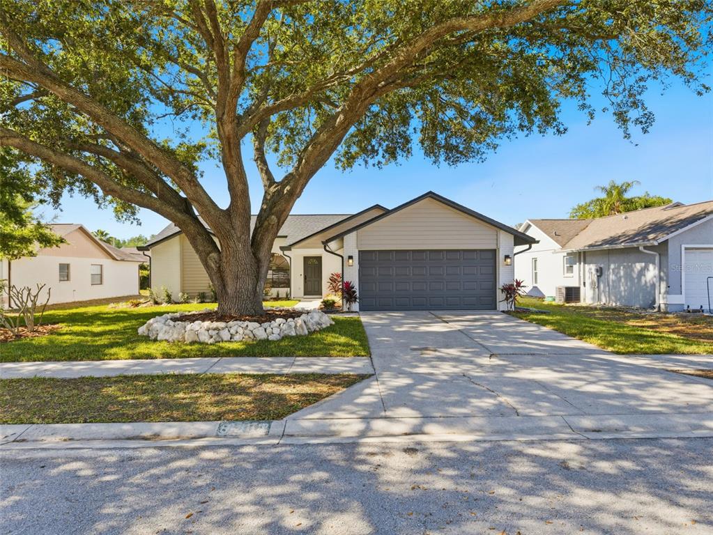 A single-story house with a large oak tree, a gray garage door, and a driveway — 8452 YEARLING LANE, NEW PORT RICHEY, FL