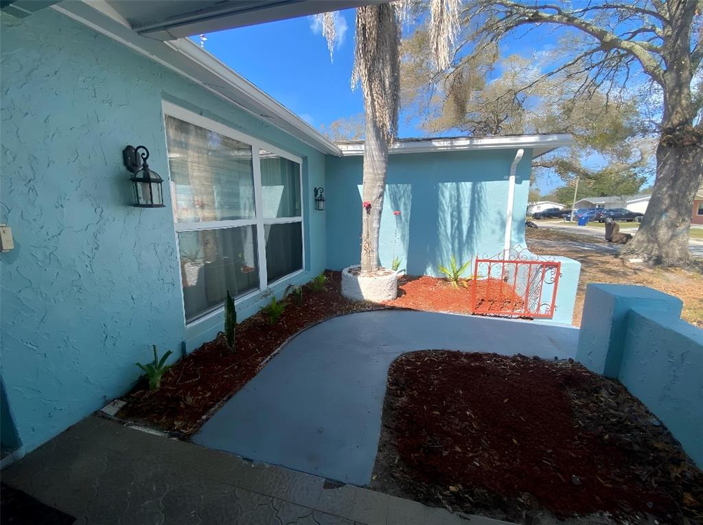 A light blue house exterior features a curved concrete walkway, red mulch, and a palm tree — 1817 DARTMOUTH DRIVE, HOLIDAY, FL