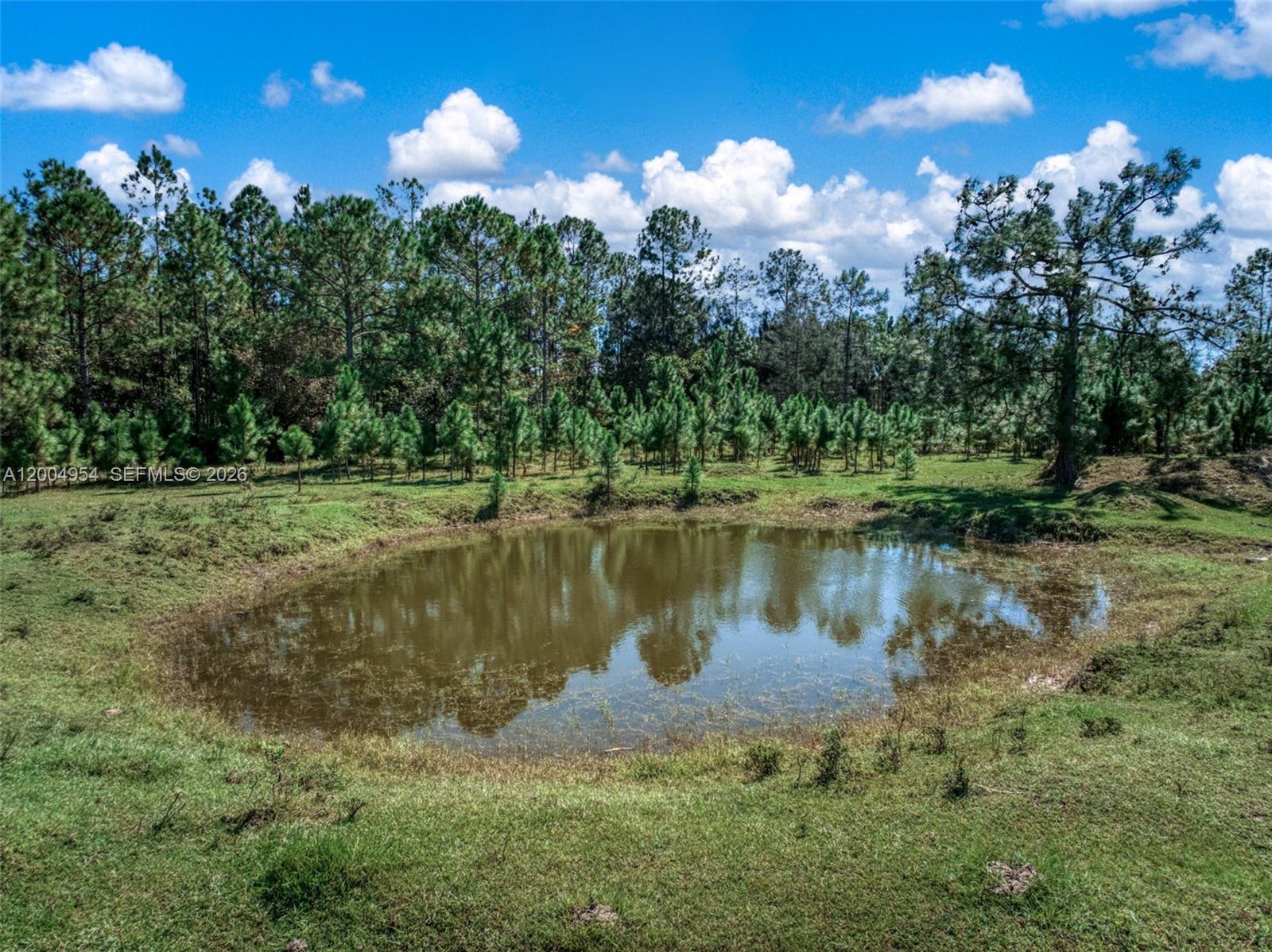 A small pond sits in a grassy field in front of a line of trees — 2316 Gem Stone, Sebring FL 33857, SEBRING, FL