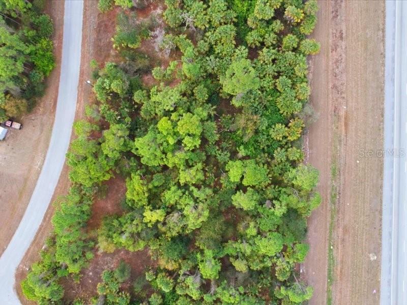 An aerial view shows a wooded lot situated between a paved road and a highway — 1126207439 BARCELONA DRIVE, NORTH PORT, FL