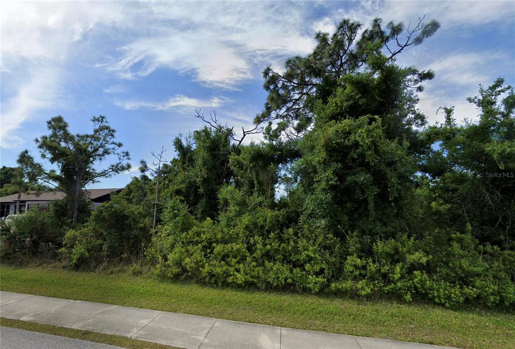 A vacant, heavily wooded lot sits behind a sidewalk under a blue sky — 3441 S ACCESS ROAD, ENGLEWOOD, FL
