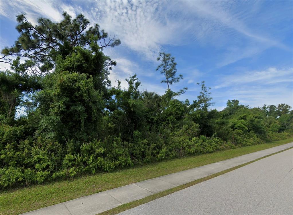 A sidewalk runs alongside a dense, overgrown wooded lot under a blue sky — 3441 S ACCESS ROAD, ENGLEWOOD, FL