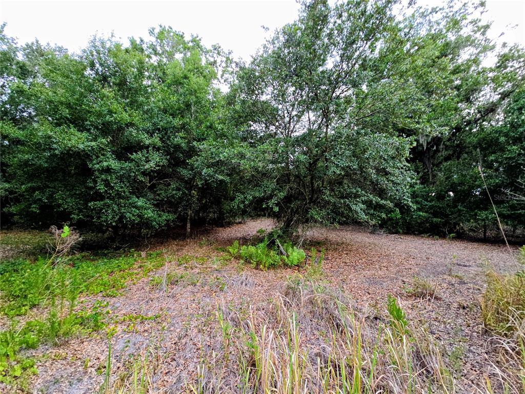 AVON-PARK CUTOFF ROAD, FORT MEADE, FL — photo 2 of 6