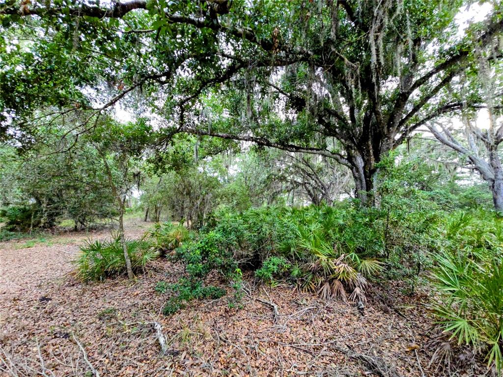 AVON-PARK CUTOFF ROAD, FORT MEADE, FL — photo 3 of 6
