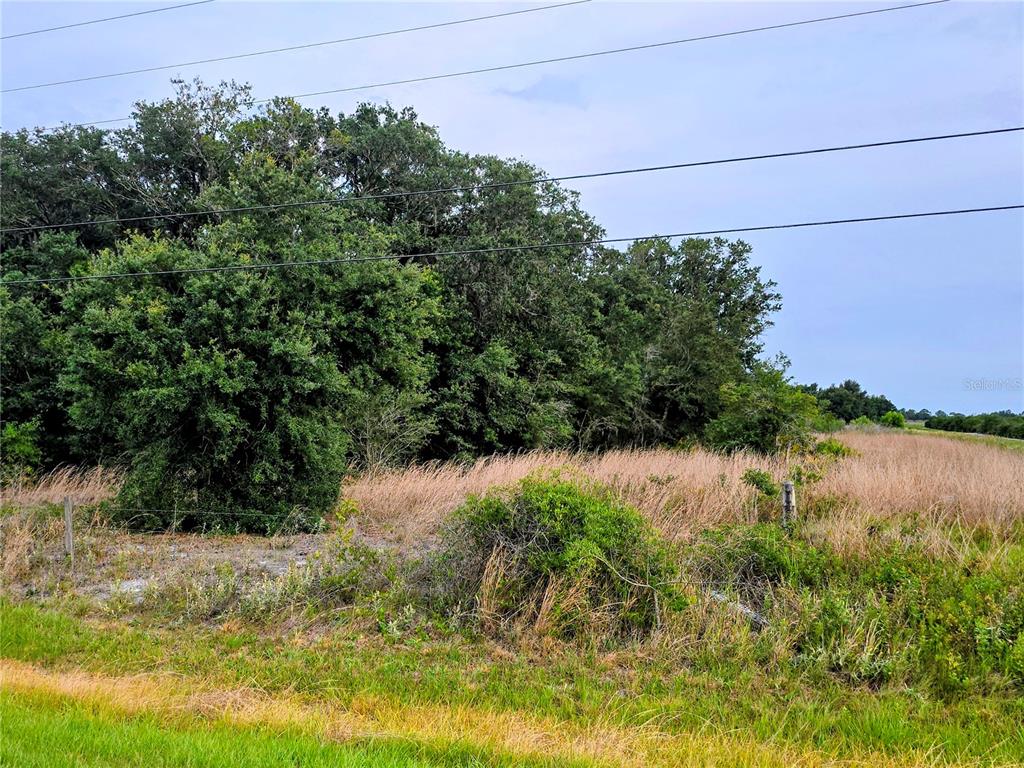 AVON-PARK CUTOFF ROAD, FORT MEADE, FL — photo 5 of 6