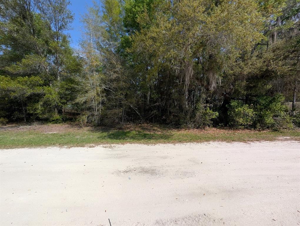 A dirt road runs in front of a densely wooded, undeveloped plot of land — SW 30TH PLACE, OCALA, FL