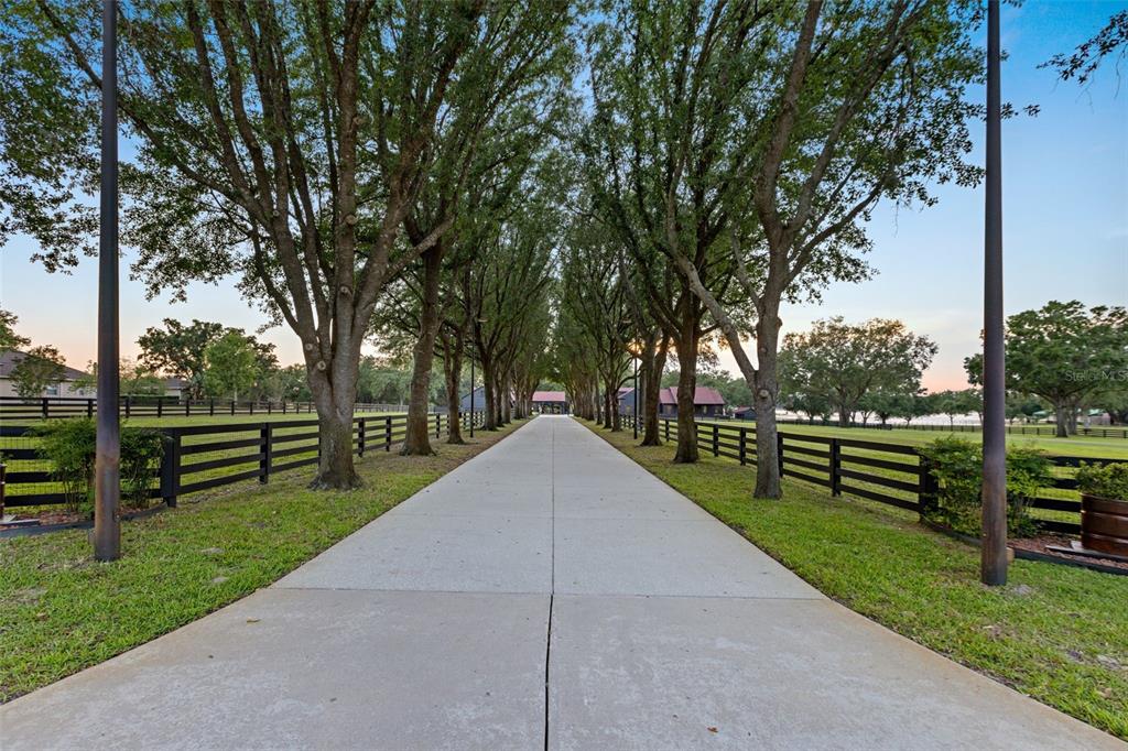 A concrete driveway lined with mature trees and black fencing leads toward a distant building — 9751 QUIET LANE, WINTER GARDEN, FL