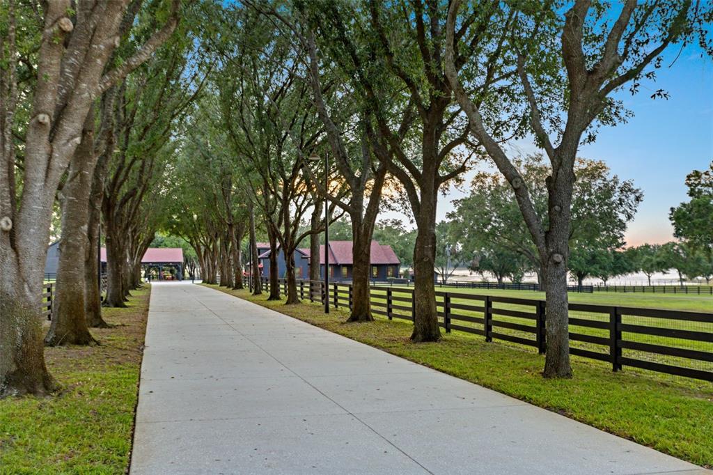 A long concrete driveway lined with trees leads toward a dark building and fenced pasture — 9751 QUIET LANE, WINTER GARDEN, FL