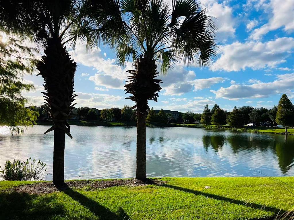 Two palm trees stand on a grassy bank overlooking a calm lake under a cloudy sky — 2137 MALTA TERRACE, KISSIMMEE, FL