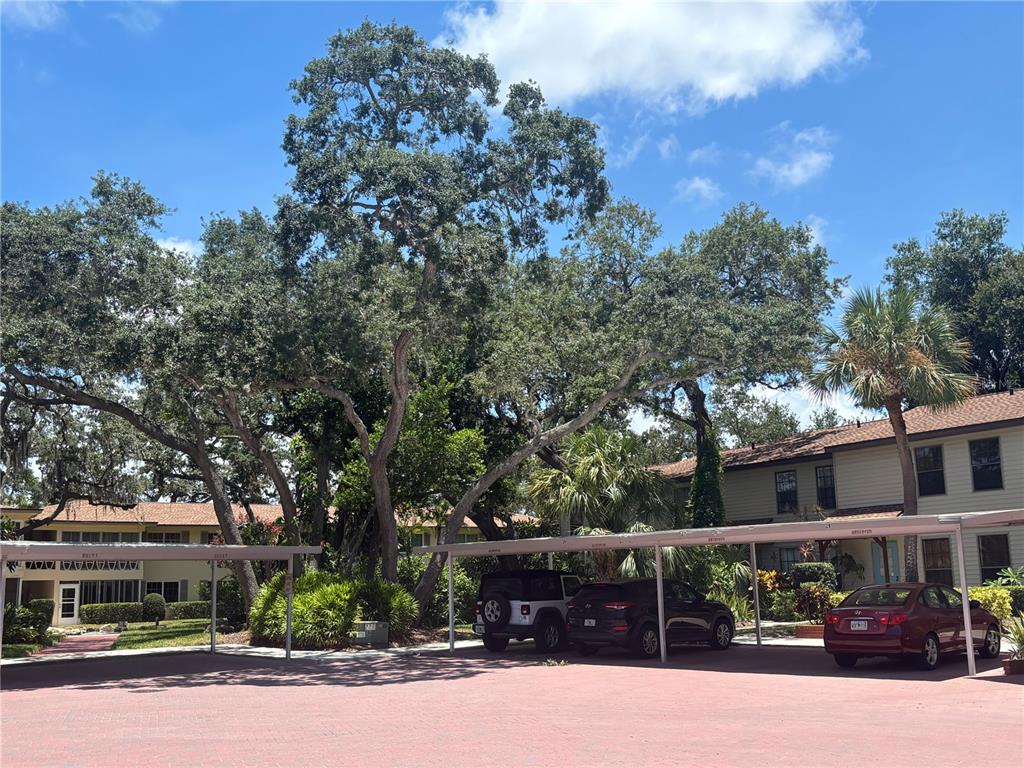 A parking area with covered carports sits in front of multi-story residential buildings and trees — 1515 BAYSHORE BOULEVARD UNIT 26, DUNEDIN, FL