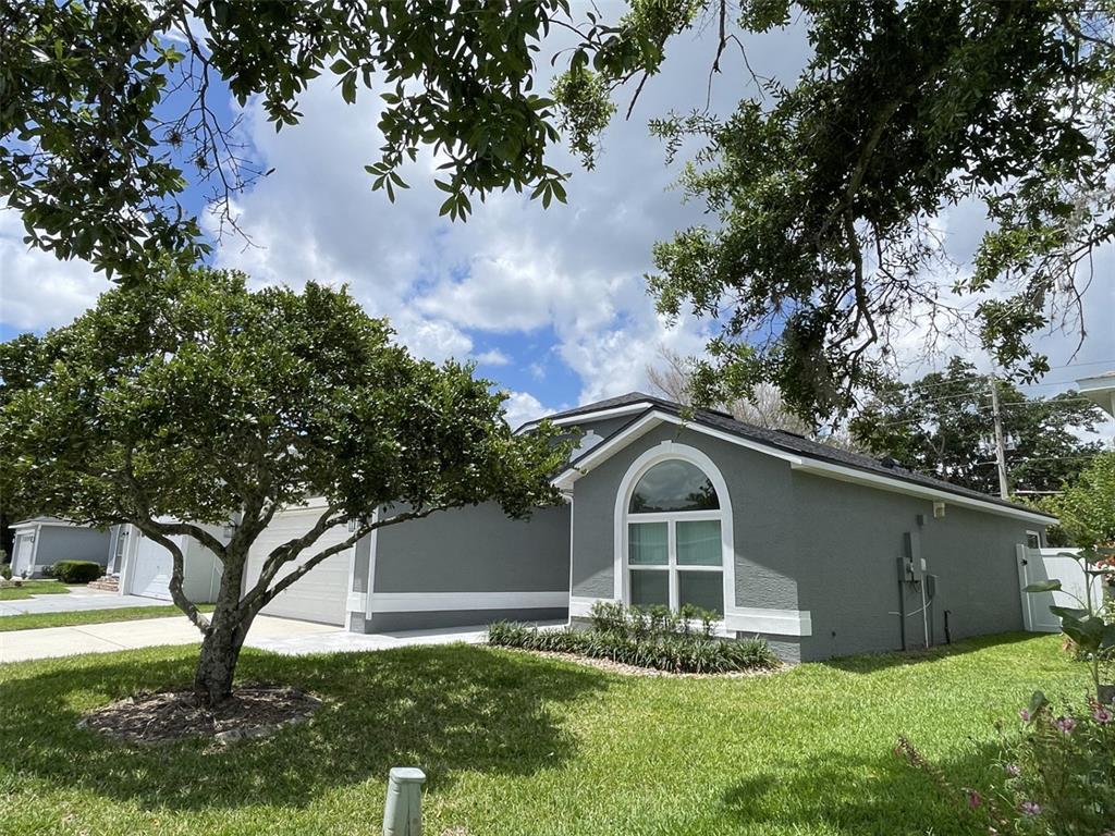 A gray single-story house with a white-trimmed arched window and a large front tree — 2869 FALLING TREE CIRCLE, ORLANDO, FL