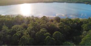 An aerial view shows a dense forest bordering a large, sunlit lake — 6605 E Banyan Place, Sebring FL 33875, SEBRING, FL