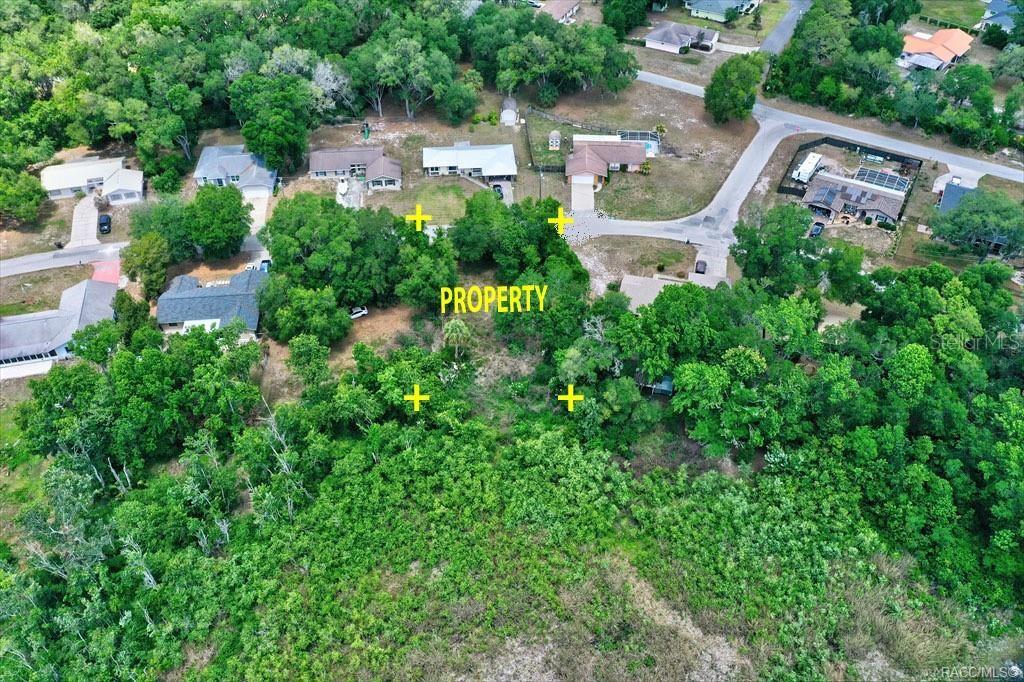 This aerial view shows a wooded residential lot marked with yellow crosses — 9390 E MISTWOOD DRIVE, INVERNESS, FL