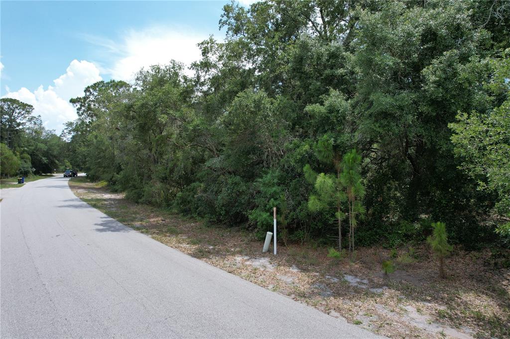 1008 WILDFLOWER STREET, LAKE PLACID, FL — photo 2 of 7