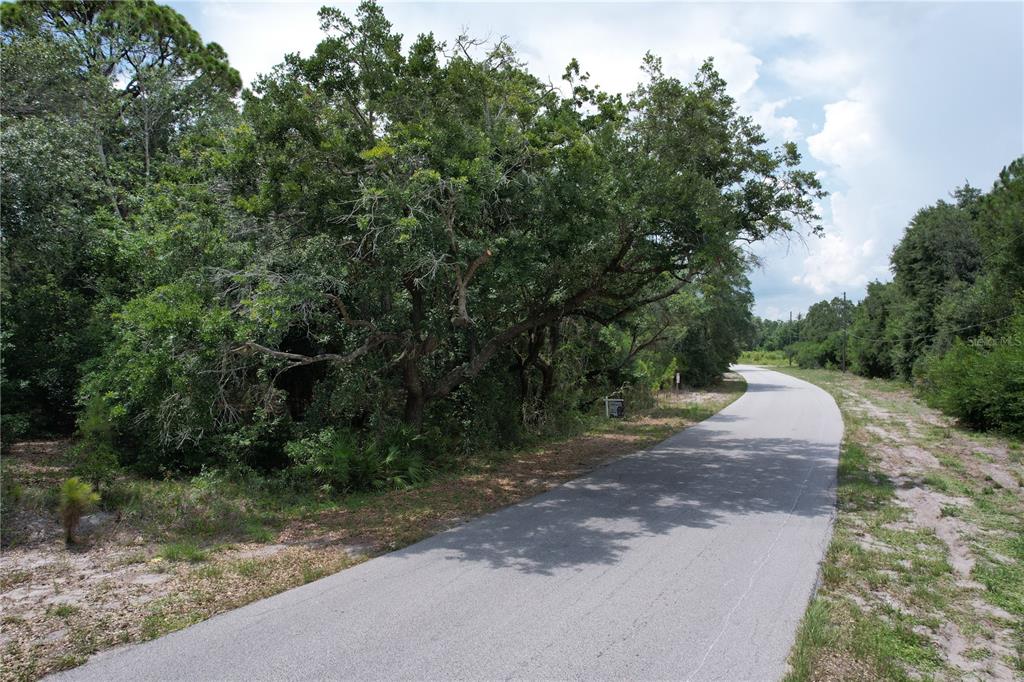 1008 WILDFLOWER STREET, LAKE PLACID, FL — photo 3 of 7
