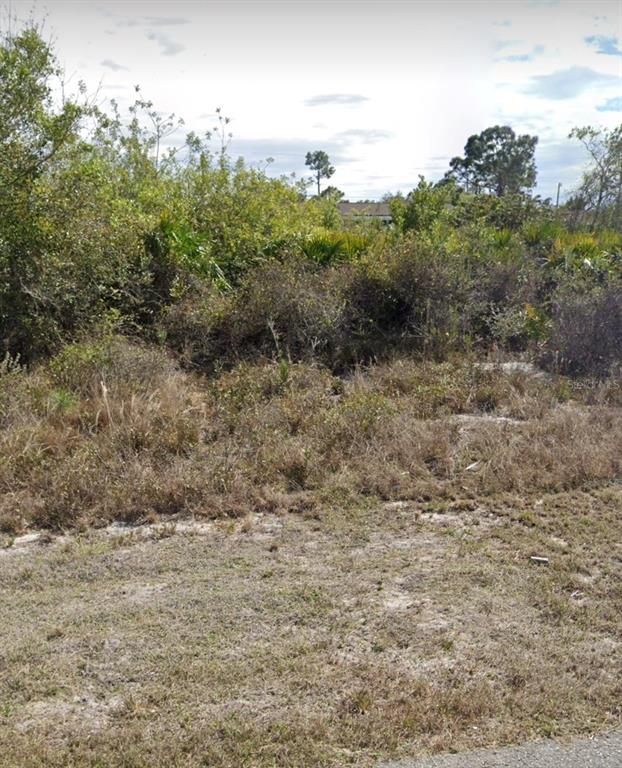 A view of a vacant, overgrown lot with brush and trees under a cloudy sky — 2509 33RD STREET SW, LEHIGH ACRES, FL