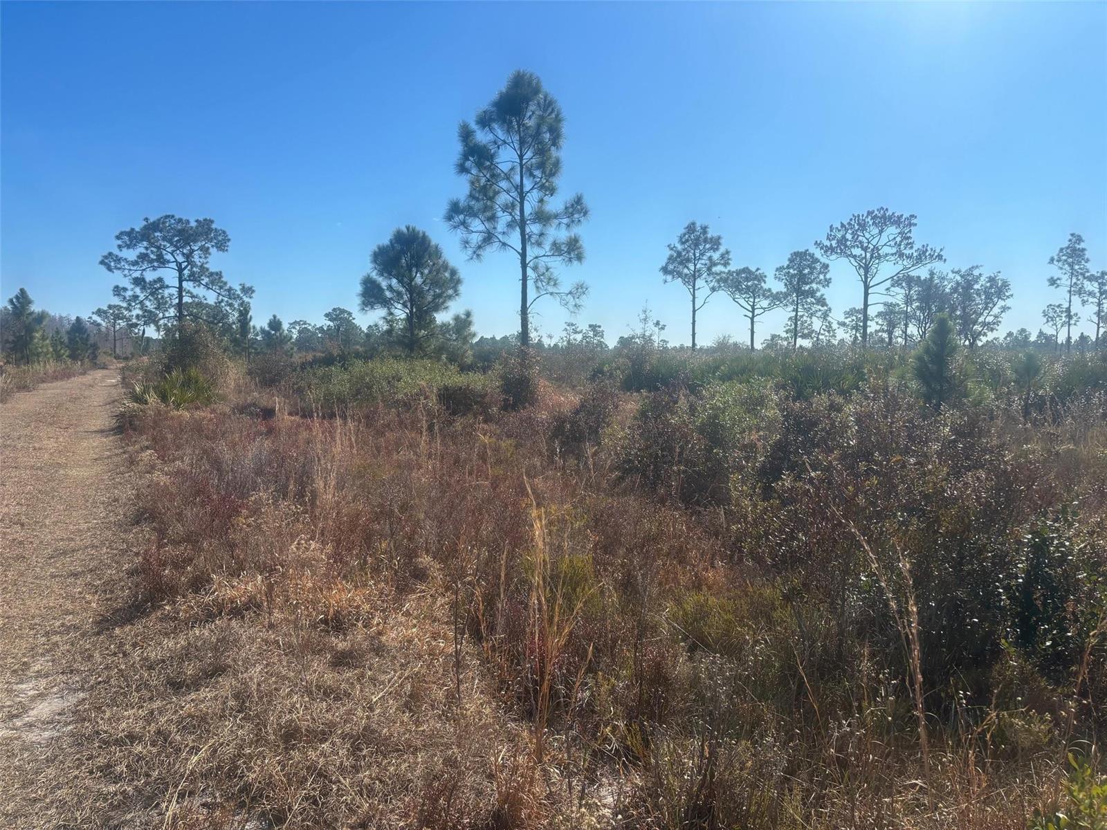 0 Xeriscape Nursery Road, Frostproof FL 33898