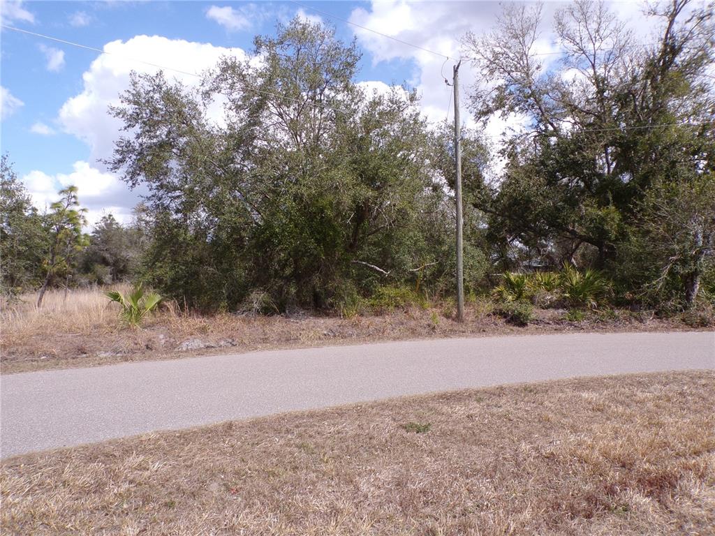 A paved road runs in front of a wooded lot with a utility pole — 208 and 214 ROSE CIRCLE, PUNTA GORDA, FL