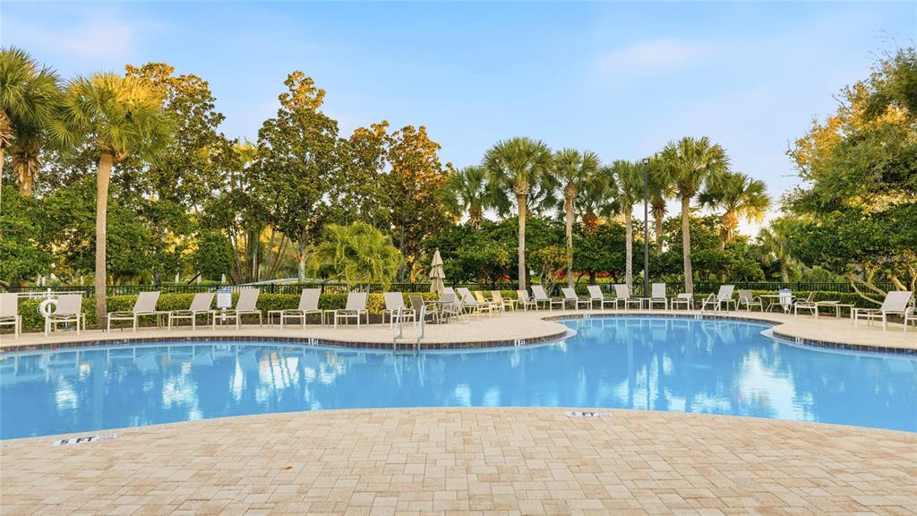 A swimming pool with lounge chairs on a paved deck surrounded by palm trees — 3631 SUMMERWIND CIRCLE, BRADENTON, FL