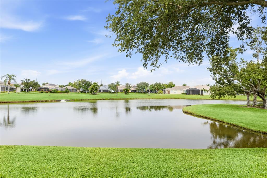 A pond sits in the foreground of a grassy backyard with houses in the distance — 3631 SUMMERWIND CIRCLE, BRADENTON, FL