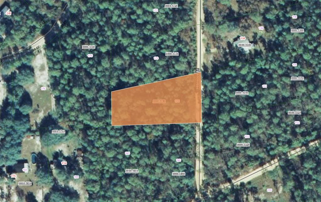 This is a map showing a highlighted rectangular parcel of land adjacent to Hibiscus Street — 107 HIBISCUS STREET, POMONA PARK, FL