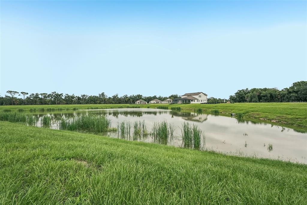 A grassy field slopes down to a pond with houses visible in the distance — 3664 142ND TERRACE E, BRADENTON, FL