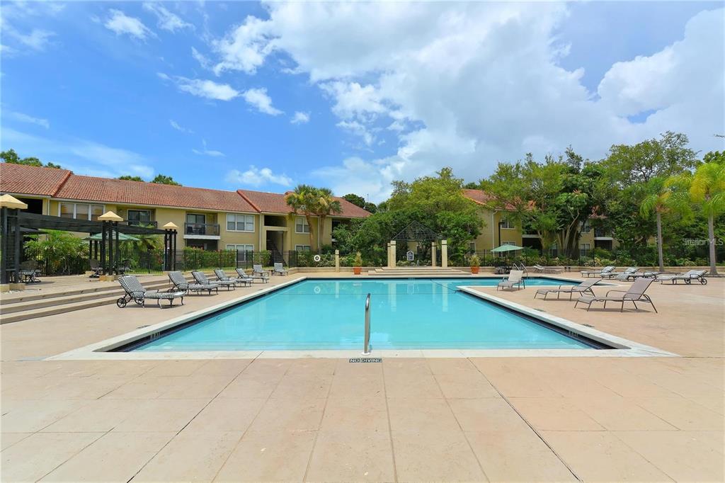 A rectangular swimming pool is surrounded by a concrete deck and apartment buildings — 4049 CROCKERS LAKE BOULEVARD UNIT 25, SARASOTA, FL