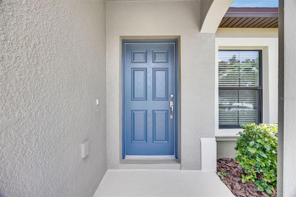 A blue front door with six panels is set into a light gray stucco exterior wall — 12401 STREAMBED DRIVE, RIVERVIEW, FL