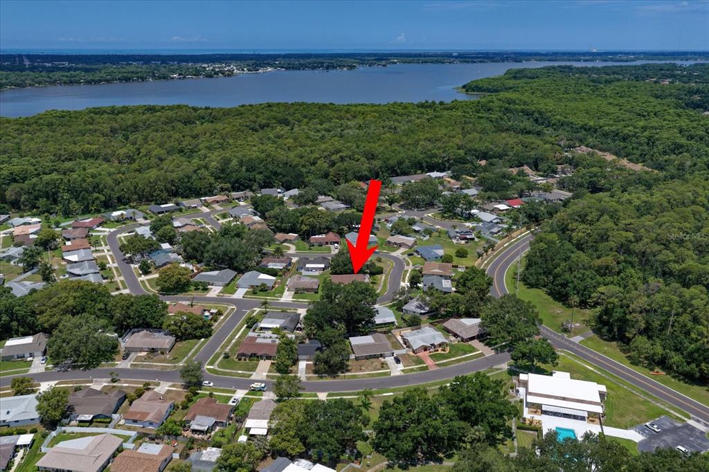 An aerial view shows a residential neighborhood with a red arrow pointing to a house — 2211 PORTSIDE PASSAGE, PALM HARBOR, FL