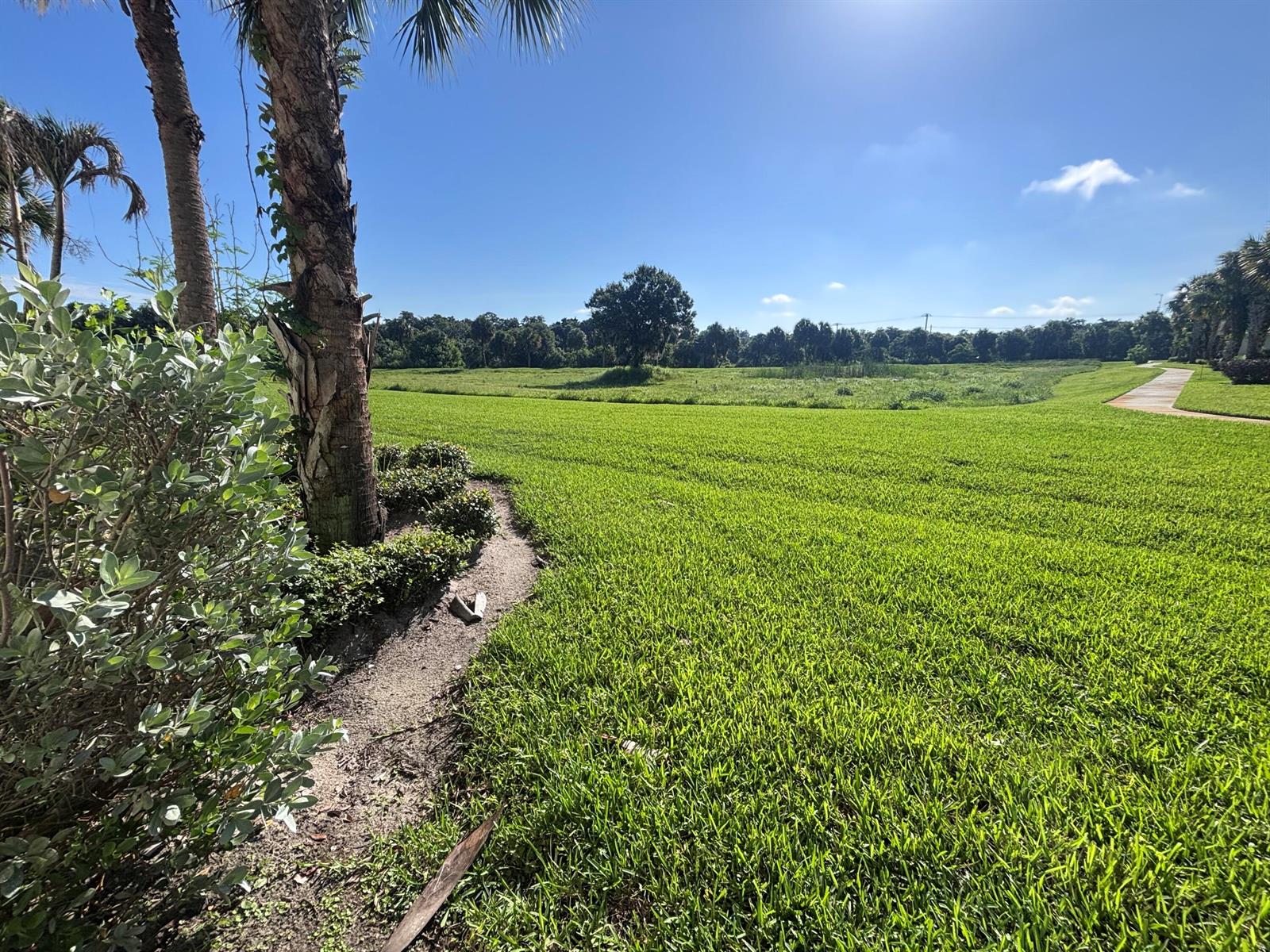 A grassy field with a palm tree in the foreground and a walking path nearby — 3902 Sabal Way, Fort Pierce FL 34981, FORT PIERCE, FL