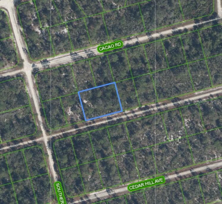 This is an aerial map showing a vacant rectangular lot outlined in blue — 3047 WILLOW AVENUE, LAKE PLACID, FL