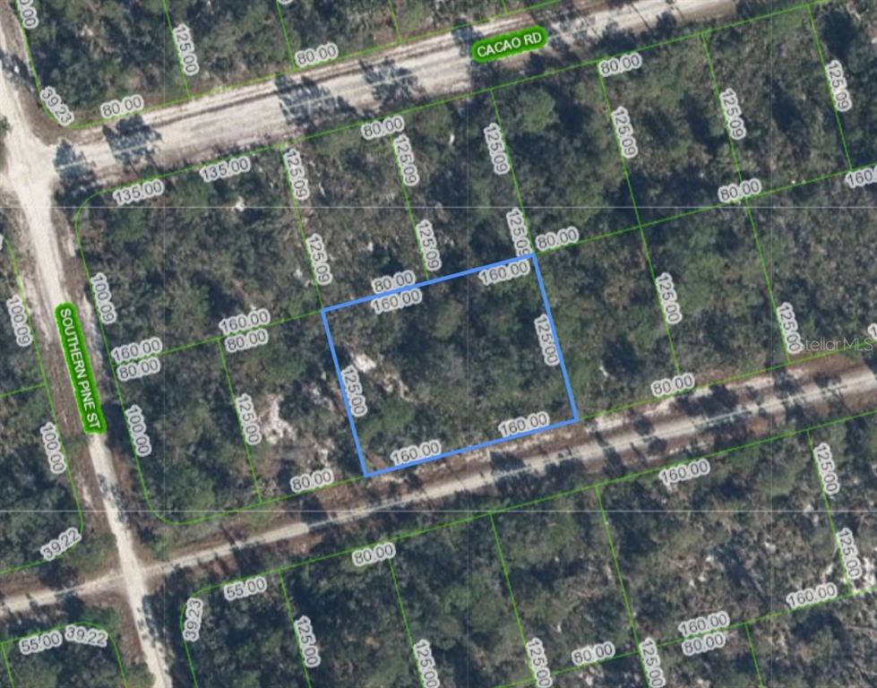 This is an aerial map showing a rectangular plot of land highlighted in blue — 3047 WILLOW AVENUE, LAKE PLACID, FL