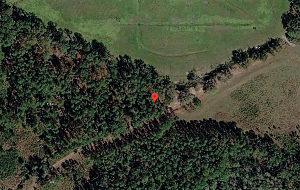 This is an aerial map view showing a wooded area adjacent to an open field — POLK CITY, POLK CITY, FL