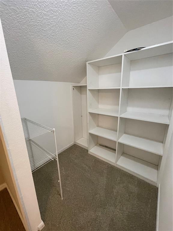 A walk-in closet features carpeted flooring, white built-in shelving, and a metal wire rack — 4228 BOCA WOODS DRIVE, ORLANDO, FL