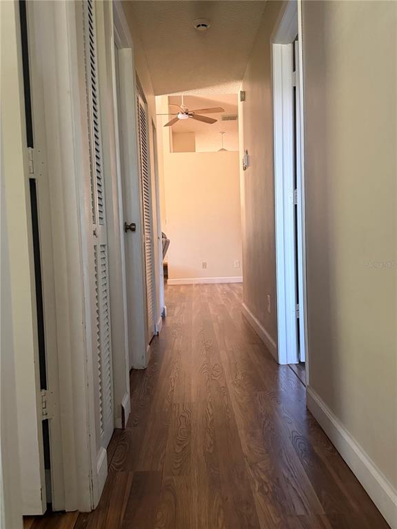 A hallway with wood-look flooring leads toward an open living area with a ceiling fan — 650 BELLINGHAM PLACE, PALM HARBOR, FL