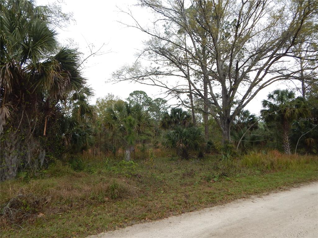 0 ROBIN TRAIL, KISSIMMEE, FL — photo 2 of 3