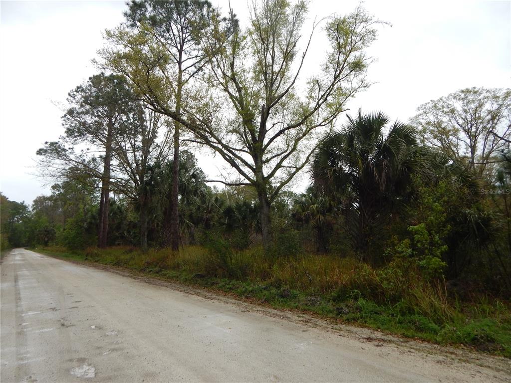0 ROBIN TRAIL, KISSIMMEE, FL — photo 3 of 3