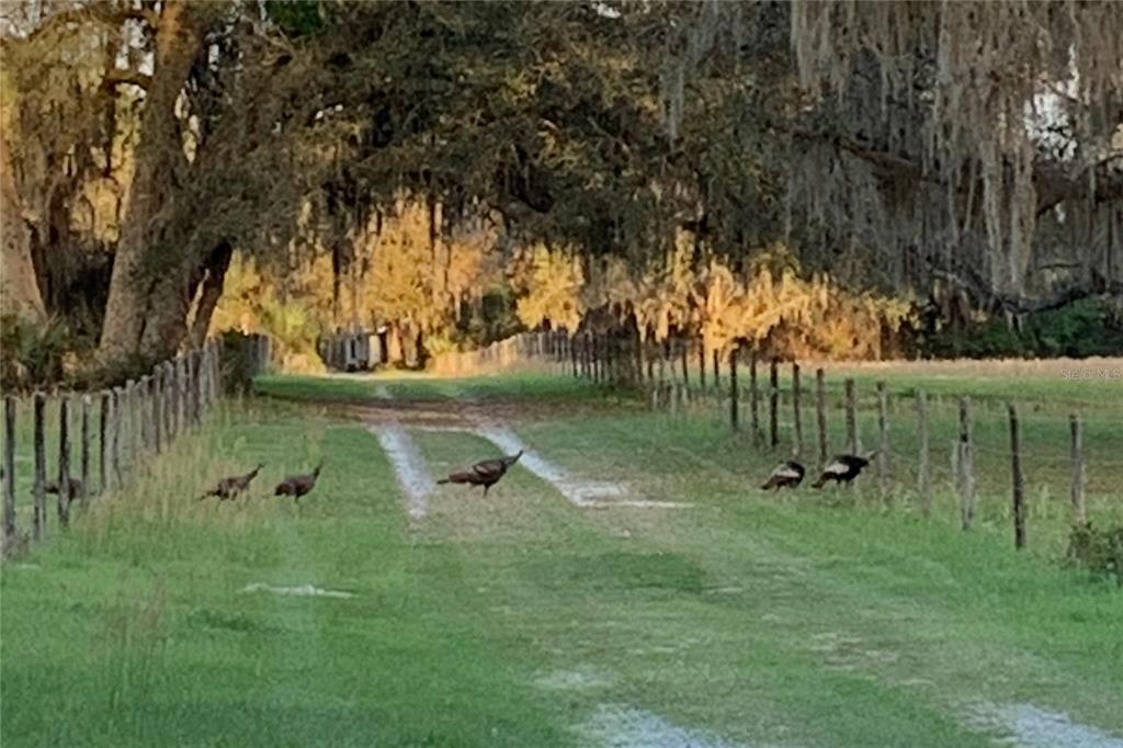 1360 S STATE ROAD 19, PALATKA, FL — photo 3 of 30