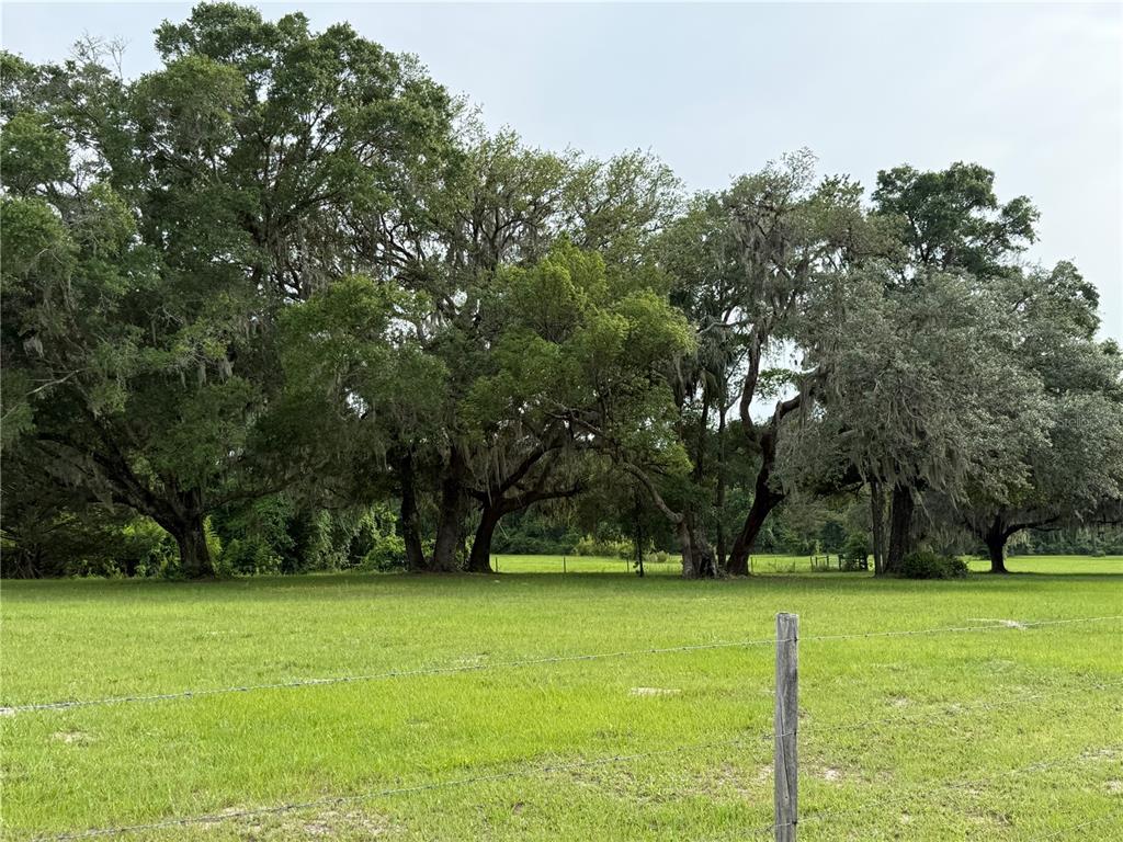 1360 S STATE ROAD 19, PALATKA, FL — photo 4 of 30