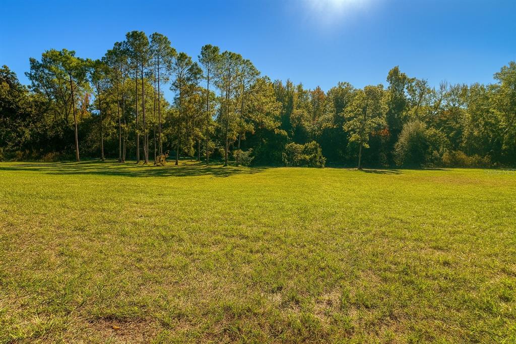 A wide, grassy field is bordered by a dense line of tall trees under a sky — 9509 SAN FERNANDO COURT, HOWEY IN THE HILLS, FL