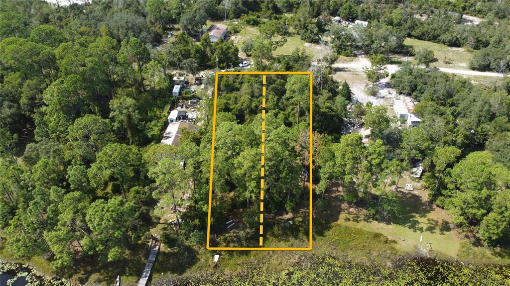 An aerial view shows a rectangular, wooded waterfront lot outlined in yellow — W LAKE ROAD, DELAND, FL