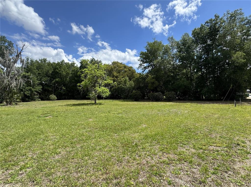 A grassy, open lot features a single tree and a dense line of trees behind — 65 HOWARD STREET, UMATILLA, FL