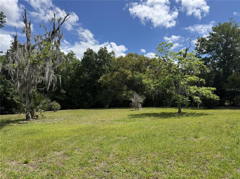 A grassy, open lot features several large trees draped with Spanish moss against a forest — 65 HOWARD STREET, UMATILLA, FL