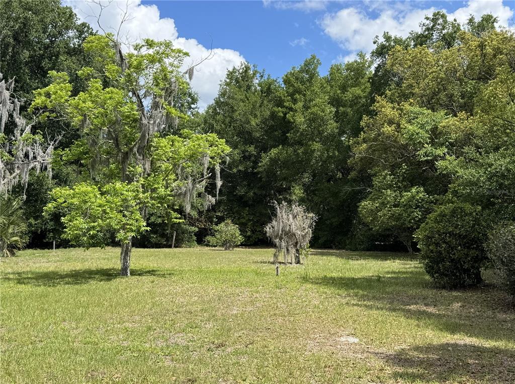 A grassy, open lot is surrounded by mature trees draped in Spanish moss — 65 HOWARD STREET, UMATILLA, FL
